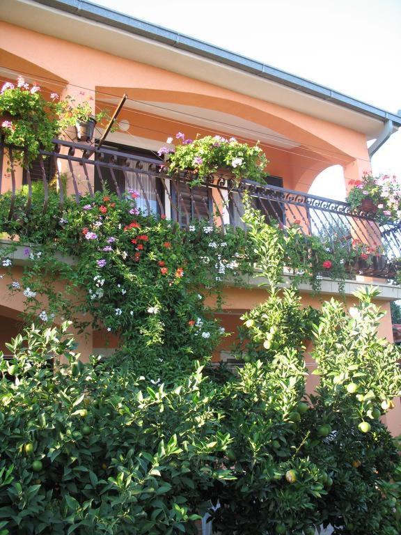 Apartments Ivanka تروغير المظهر الخارجي الصورة